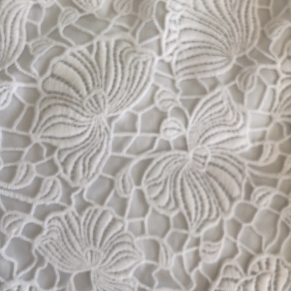 Ann Taylor NWT lace overlay white shorts sz2P - Picture 2 of 9